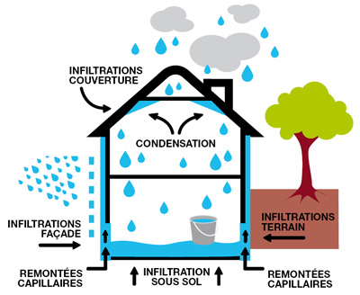 Humidité dans le bâtiment : Causes et remèdes